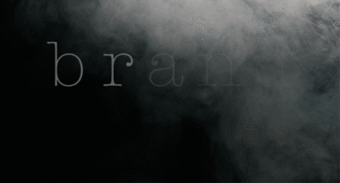 reveal your brand